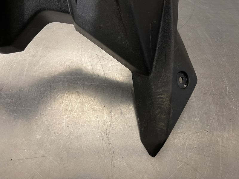 Kawasaki Ninja 125 2023 Front deksel