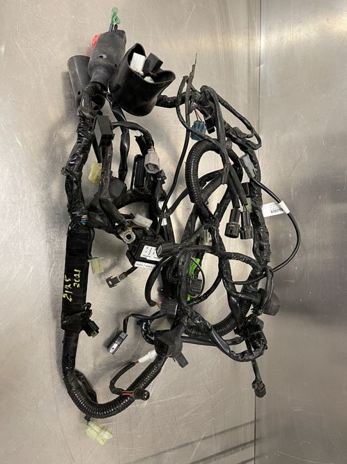 Hovedbilde Kawasaki Z125 2021Ledningsnett