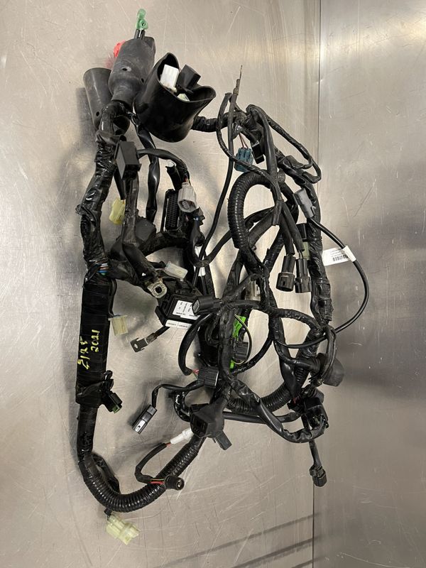 Kawasaki Z125 2021Ledningsnett