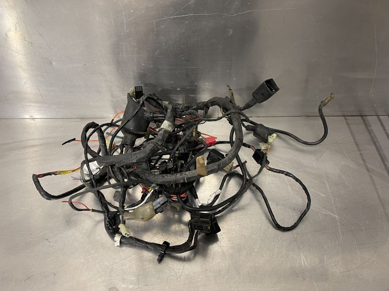 Kawasaki Ninja ZX-6R 1998 Ledningsnett