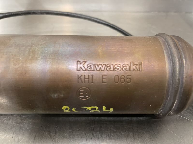 Kawasaki Z125 2024 Eksospotte